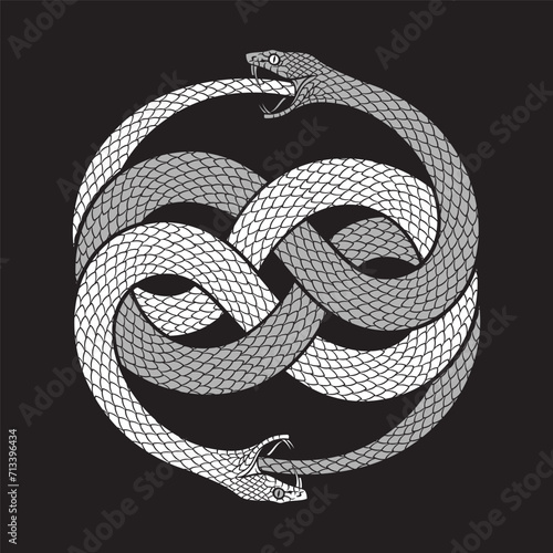 Double ouroboros or uroboros serpent snakes consuming. Tattoo, poster or print design vector illustration