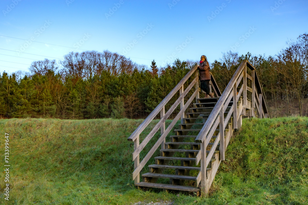 Stairs of a wooden bridge over hill, senior adult woman standing on top, pine trees in background against blue sky, Thor Park - Hoge Kempen National Park, sunny autumn day in Genk, Belgium