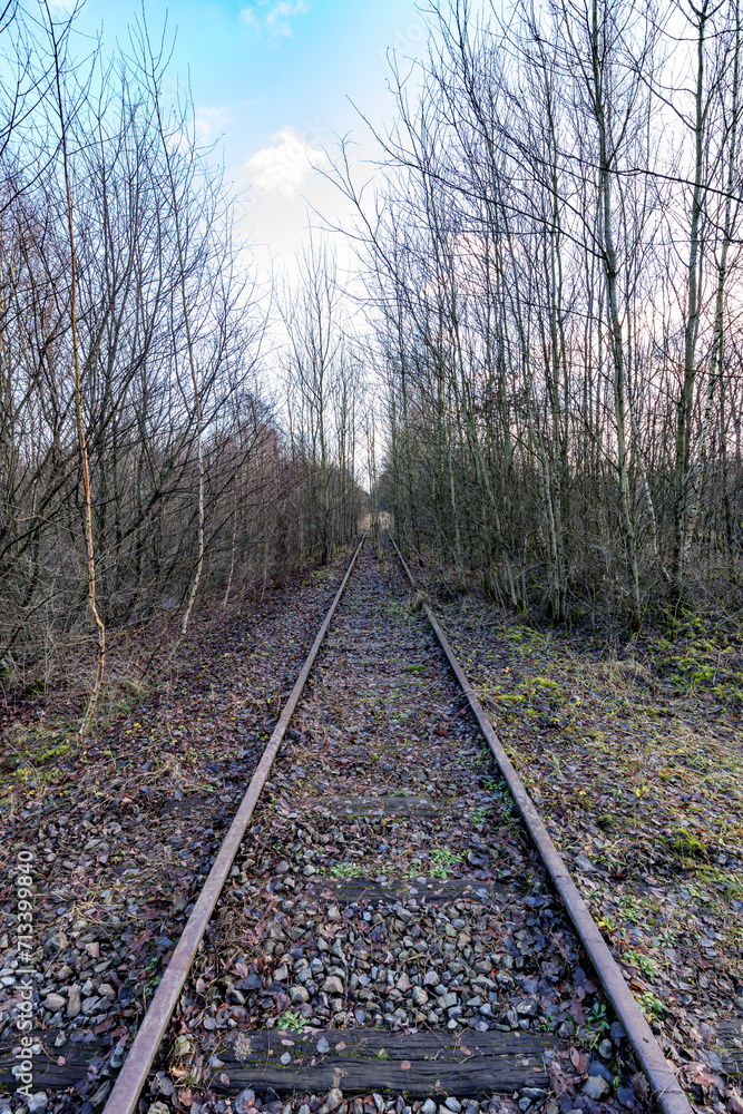 Fototapeta premium Disused straight old railway track disappearing into background, between bare trees, Thor Park - Hoge Kempen National Park, cloudy autumn day in Genk, Belgium