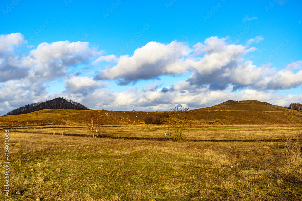 Obraz premium Open plain with sparse trees and yellowish green grass with autumn hills against blue sky with white clouds in Thor Park - Hoge Kempen National Park, sunny afternoon in Genk, Belgium