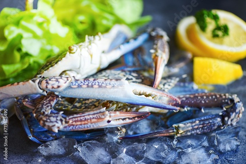Fresh crab for cooked food at restaurant or seafood market / Raw crab on ice with spices lemon and salad lettuce on the dark plate background Blue swimming crab