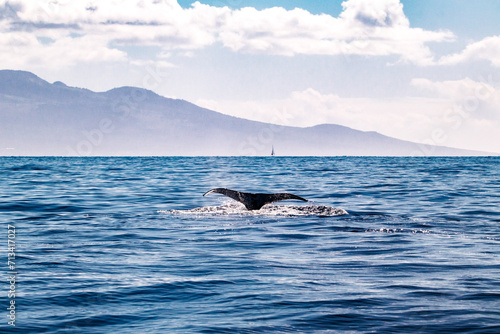 Whale splashing in front of Hawaiian Island