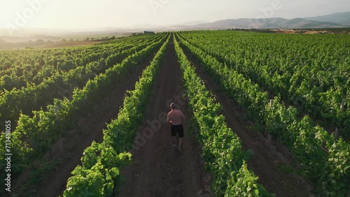 Grape grower farmer on large family vineyard farm growing grapes and checks harvest season crops, aerial shot photo