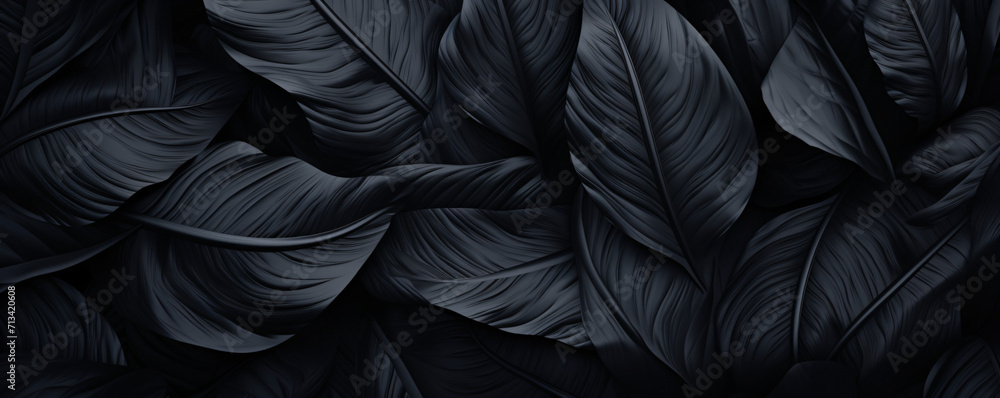 background black leaves, exotic, jungle background black leaves, exotic, jungle