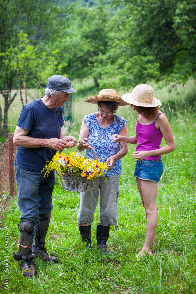 Senior Couple and Mature Daughter Countryside Outdoors Collecting Wildflowers and Having great Time - Spending Time with Elder People Senior Couple and Mature Daughter Countryside Outdoors Collecting Wildflowers and Having great Time - Spending Time with Elder People