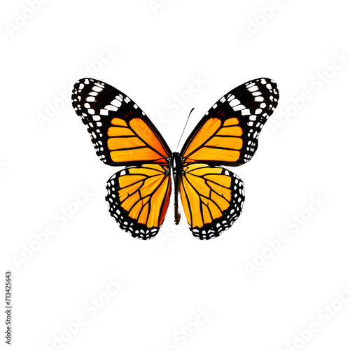 Beautiful butterfly isolated transparent white background,Generative Ai © Stock28
