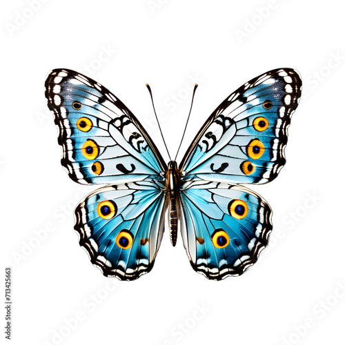 Beautiful butterfly isolated transparent white background,Generative Ai © Stock28