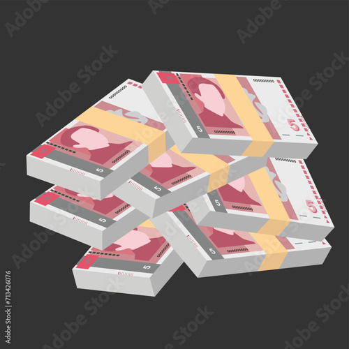 Bulgarian Lev Vector Illustration. Bulgaria money set bundle banknotes. Paper money 5 BGN. Flat style. Isolated on white background. Simple minimal design.