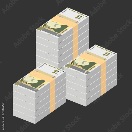 Bulgarian Lev Vector Illustration. Bulgaria money set bundle banknotes. Paper money 10 BGN. Flat style. Isolated on white background. Simple minimal design.