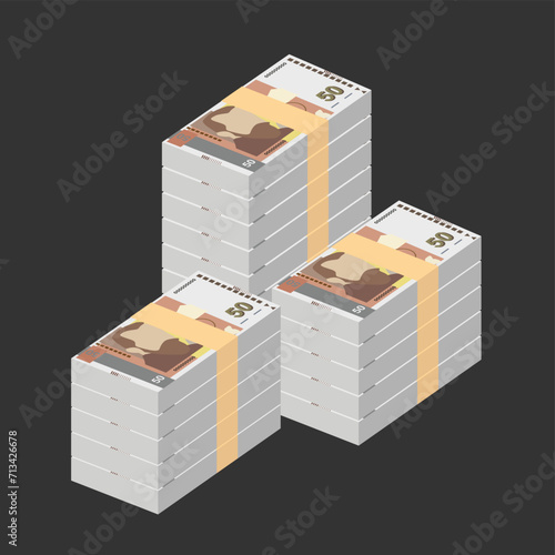 Bulgarian Lev Vector Illustration. Bulgaria money set bundle banknotes. Paper money 50 BGN. Flat style. Isolated on white background. Simple minimal design.