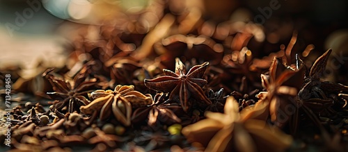 Staf anise for curry spices beautifully shot at the market. Copy space image. Place for adding text