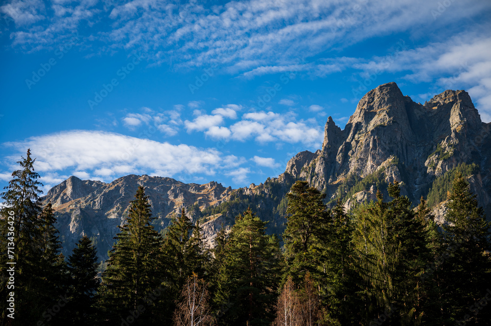 Obraz premium Epic mountain range peaking between the pine trees