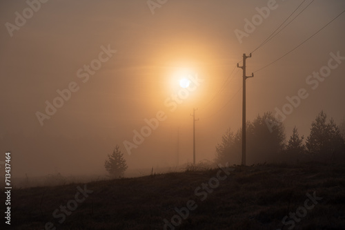 Mist over a tree and an electric pole at sunrise, with the sun in the fog