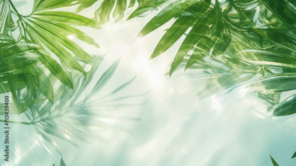 Water and green leaf background sunlight reflection, top view, beauty backdrop, mock up, spa and wellness, copy space. Abstract transparent water texture surface with tropical leaves.