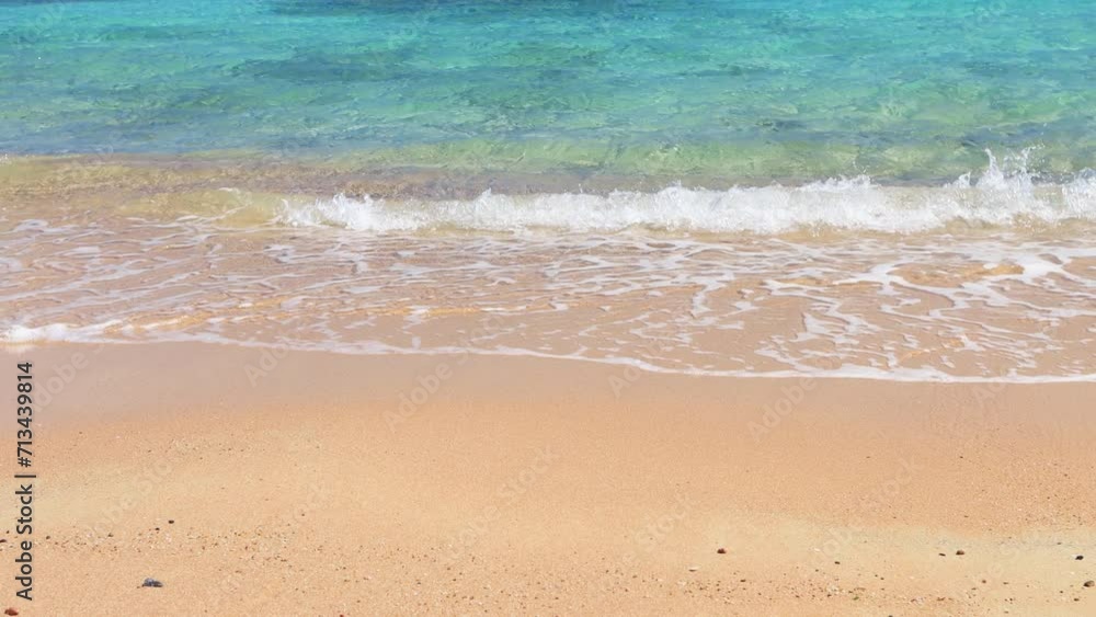 beautiful tropical sea and sandy beach
beautiful tropical sea and sandy beach