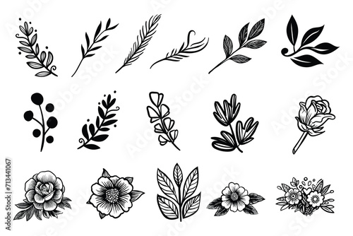 Simple linear flowers and leaves isolated on white. Hand drawn vector botanical illustrations. Cute flowers and leaves cliparts. Vector set of black ink drawing wild plants and herbs