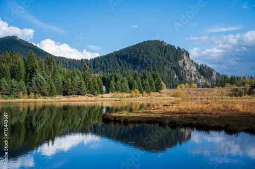 Morning sun at the mountain lake with grass and pine trees