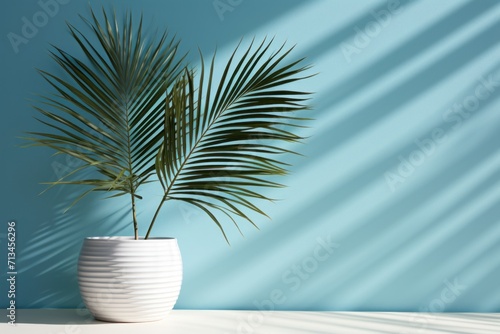  a palm tree in a white vase against a blue wall with a shadow of a palm tree on the wall.