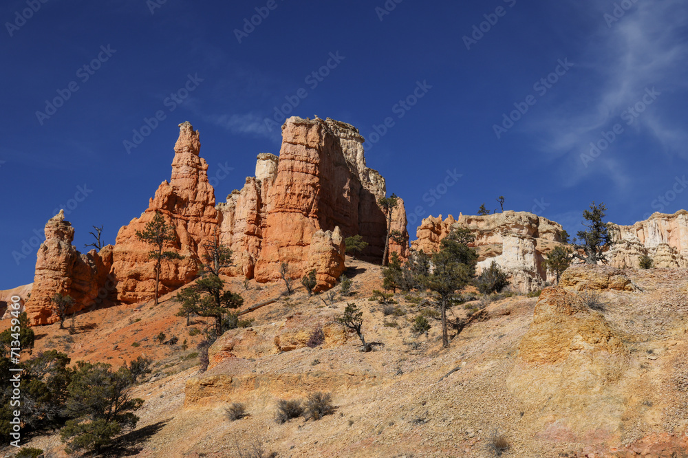 Fototapeta premium Scenic Bryce Canyon Naitonal Park Utah Landscape