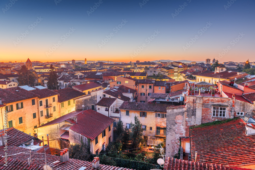 Pisa, Tuscany, Italy Town Skyline Rooftop View