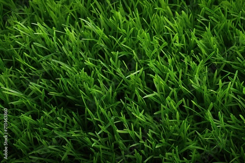  a close up of some green grass with some water droplets on the top of the grass and the bottom of the grass.