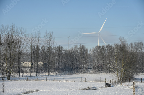 Belgique Brabant flamand Beersel paysage arbre campagne hiver neige environnement energie eolienne photo