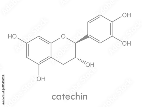 Catechin structure. Molecule of natural antioxidant flavonoid.
