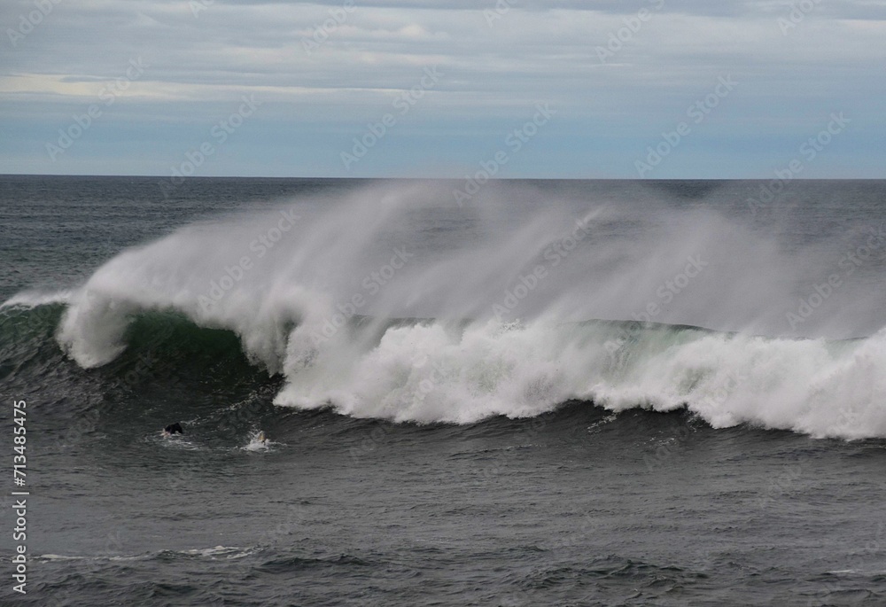 Fototapeta premium Mar