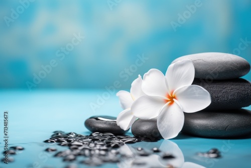  a white flower sitting on top of a pile of black rocks next to a pile of black and white rocks.