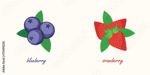 Blueberries and strawberries backgroundvector illustration eps10