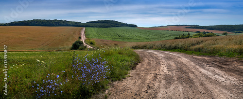 A rural dirt road along an agricultural fields rapeseed, soybeans