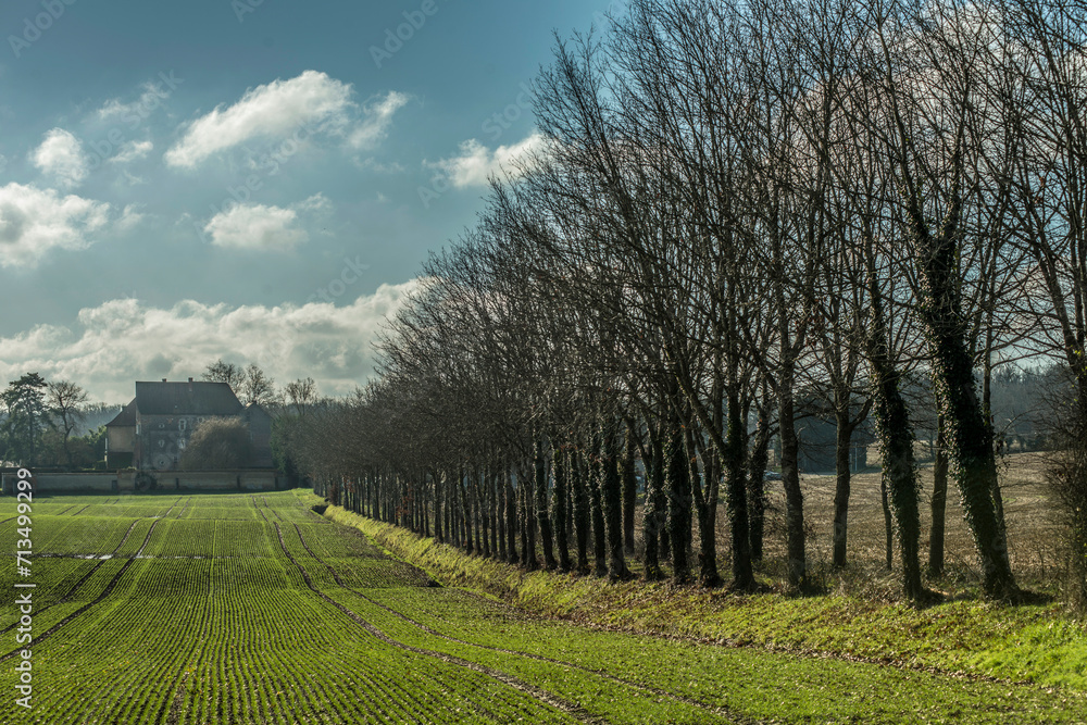 Champs cultivés gorgés d'eau et allée du château du Saix à Péronnas, Ain, France Champs cultivés gorgés d'eau et allée du château du Saix à Péronnas, Ain, France