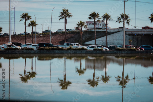 Landscape of a lake with palm trees and cars reflecting in the water.