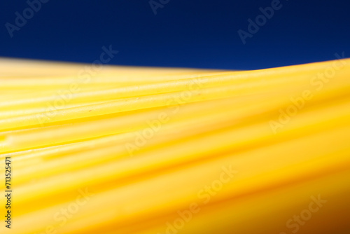 A bunch of Italian spaghetti placed horizontally on a beautiful navy blue background, simulating wheat fields against a blue sky. Сlose-up view.