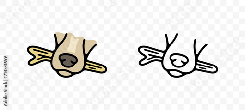 Dog holding a stick in its teeth, graphic design. Animal and pet, toys for dogs, cynology, pet store and feed, vector design and illustration