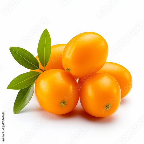Cumquat or Kumquat Isolated on White Background