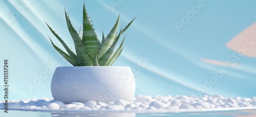 pot of aloe with aloe vera in the water, surreal animation