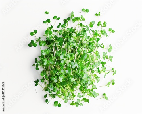 Organic Microgreens on White, Ideal for Fresh and Nutrient-Rich Ingredients
