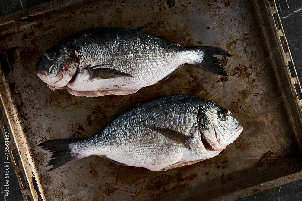 Two raw and fresh dorado fish on rustic roasting pan. Minimalistic, dark-style or low key food photo. Mediterranean diet. Top view, copy space