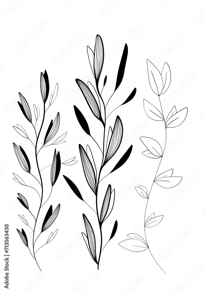 plants graphics, on white background, branches, leaves, graphics
