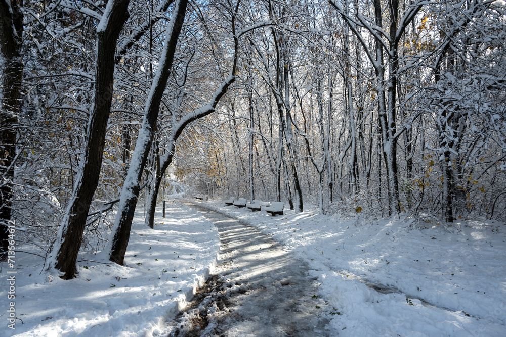 Winter Landscape of South Park in city of Sofia, Bulgaria Winter Landscape of South Park in city of Sofia, Bulgaria