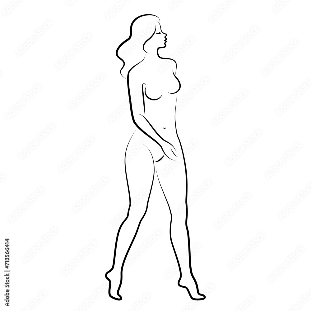 Fototapeta premium Silhouette of a nice lady, she is standing. The girl has a beautiful naked figure. The woman is a young sexy and slender model. Vector illustration.