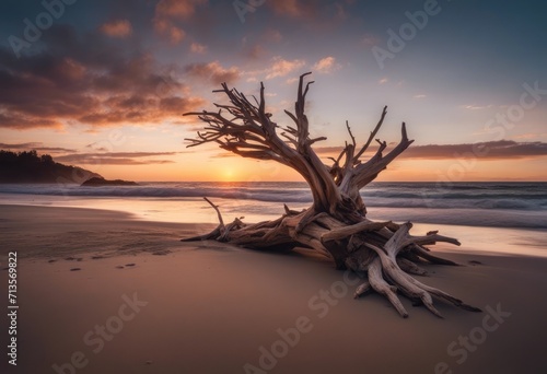 AI generated illustration of a driftwood at sunset
