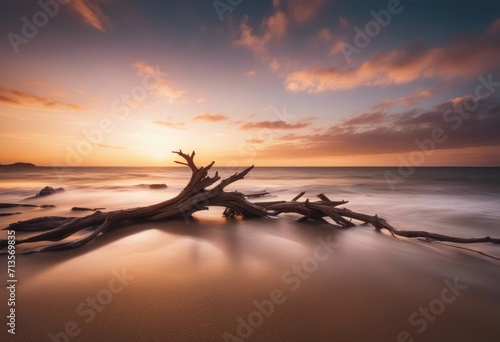 AI generated illustration of a driftwood at sunset photo