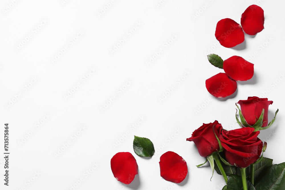 Beautiful red roses and petals on white background, top view. Space for text
