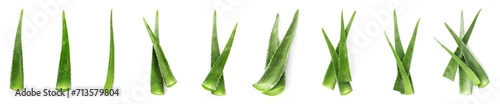 Aloe Vera. Fresh green leaves isolated on white, collection photo