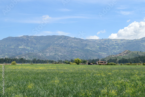 Cultivo en los valles de Boyacá 