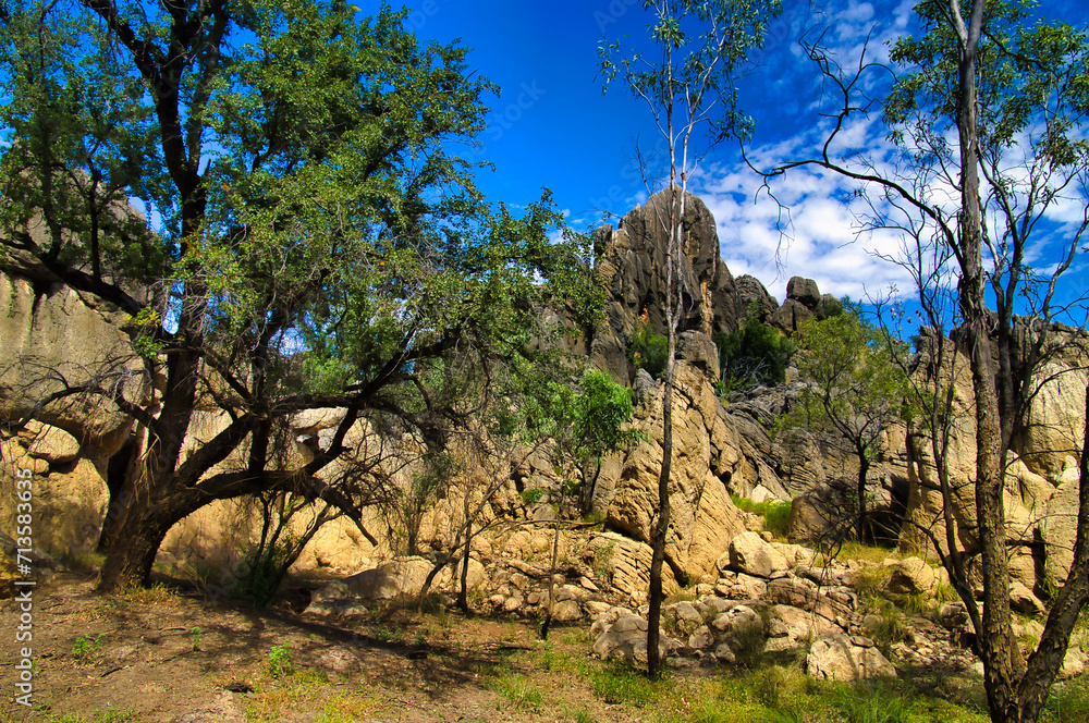 Towering limestone rocks and a tall tree in the rugged outback of northwest Australia, Danggu Geikie Gorge National Park in the Napier Range in the Kimberley.
Towering limestone rocks and a tall tree in the rugged outback of northwest Australia, Danggu Geikie Gorge National Park in the Napier Range in the Kimberley.