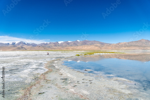 Tso Momriri  a high-altitude lake in the Himalayas  Ladakh  mountain lake  India