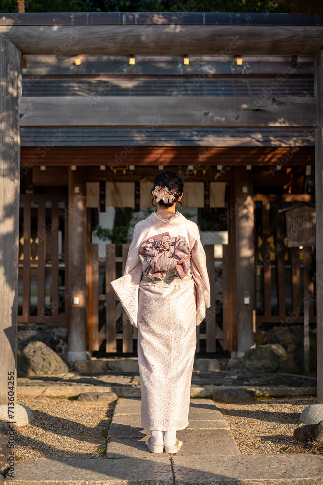 Japanese Kimono Portrait back view photography. Kyoto, Japan. Japanese traditional Shrine Torii.
